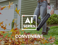 AI Series